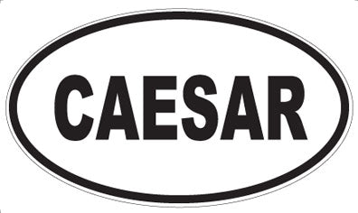 CAESAR - Oval Magnet