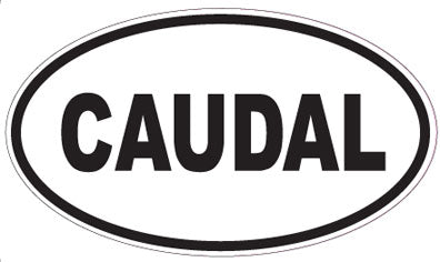 CAUDAL - Oval Sticker
