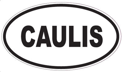CAULIS - Oval Sticker