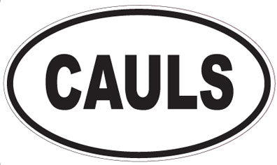 CAULS - Oval Sticker