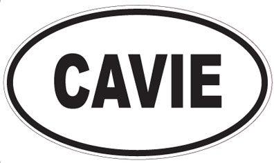 CAVIE - Oval Magnet