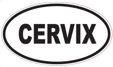 CERVIX - Oval Sticker