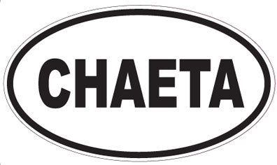 CHAETA - Oval Sticker