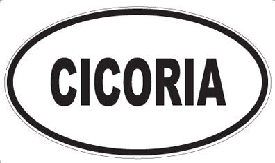 CICORIA - Oval Magnet