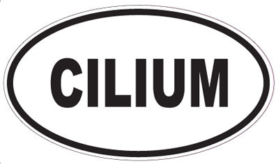 CILIUM - Oval Sticker