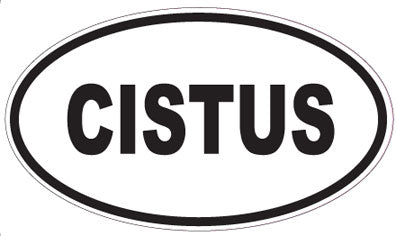 CISTUS - Oval Sticker