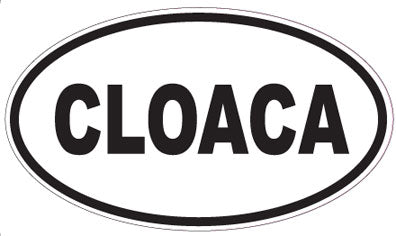 CLOACA - Oval Sticker