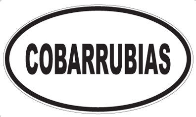 COBARRUBIAS - Oval Magnet
