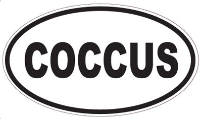 COCCUS - Oval Sticker