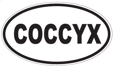 COCCYX - Oval Sticker