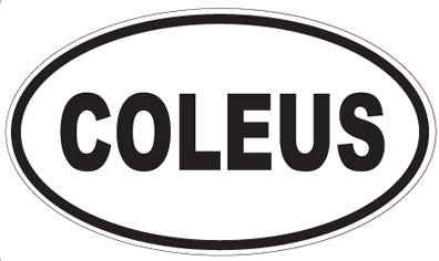 COLEUS - Oval Sticker