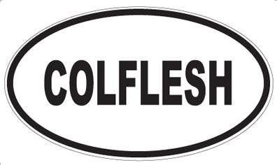 COLFLESH - Oval Magnet