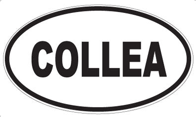 COLLEA - Oval Magnet
