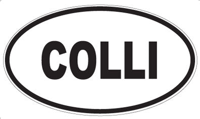 COLLI - Oval Magnet