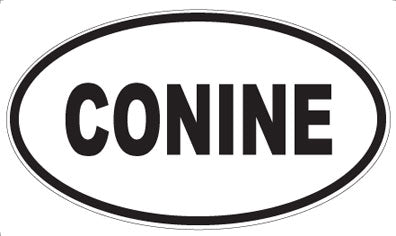 CONINE - Oval Magnet