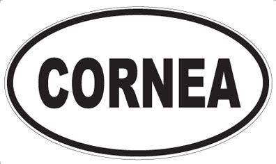 CORNEA - Oval Magnet