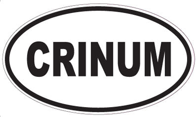 CRINUM - Oval Sticker