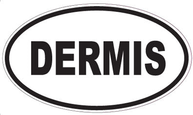 DERMIS - Oval Sticker