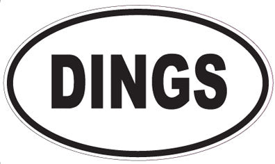 DINGS - Oval Magnet