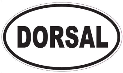 DORSAL - Oval Sticker