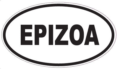 EPIZOA - Oval Sticker