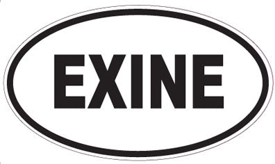 EXINE - Oval Magnet