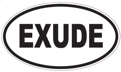 EXUDE - Oval Magnet