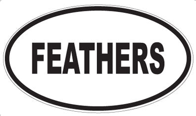 FEATHERS - Oval Magnet