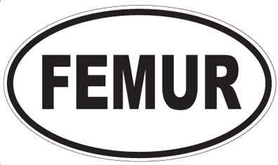 FEMUR - Oval Magnet