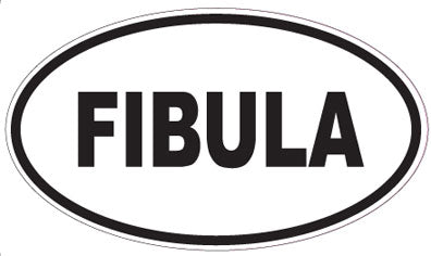 FIBULA - Oval Sticker