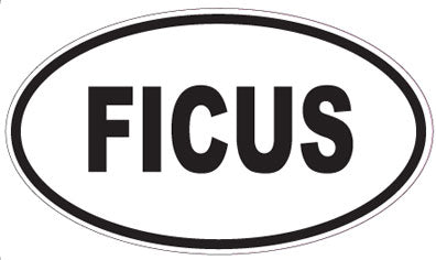 FICUS - Oval Magnet