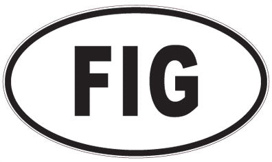 FIG - 3 Letter Initials Oval Magnet