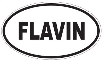 FLAVIN - Oval Sticker