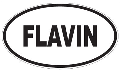 FLAVIN - Oval Magnet