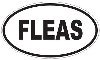 FLEAS - Oval Magnet