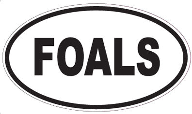 FOALS - Oval Sticker