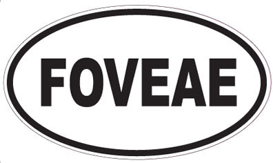 FOVEAE - Oval Sticker