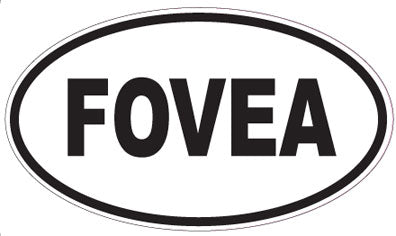 FOVEA - Oval Magnet