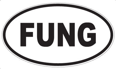 FUNG - Oval Magnet