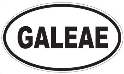 GALEAE - Oval Sticker