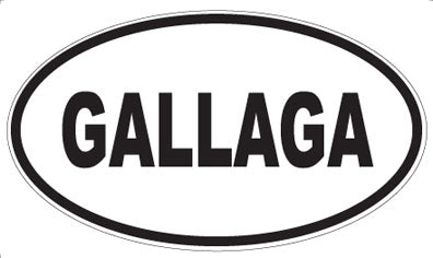 GALLAGA - Oval Magnet