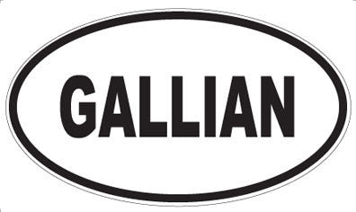GALLIAN - Oval Magnet