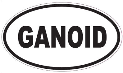 GANOID - Oval Sticker