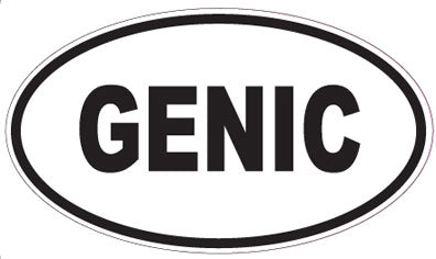 GENIC - Oval Magnet