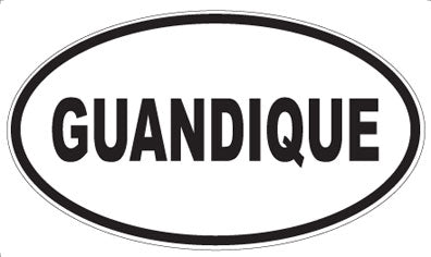 GUANDIQUE - Oval Magnet