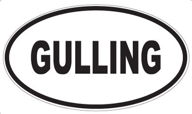 GULLING - Oval Magnet