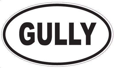 GULLY - Oval Magnet