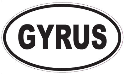 GYRUS - Oval Magnet