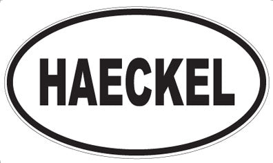 HAECKEL - Oval Sticker