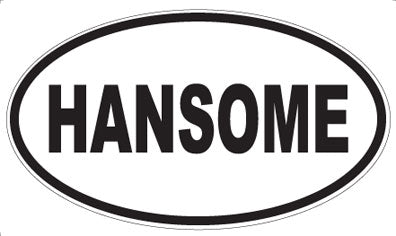 HANSOME - Oval Magnet